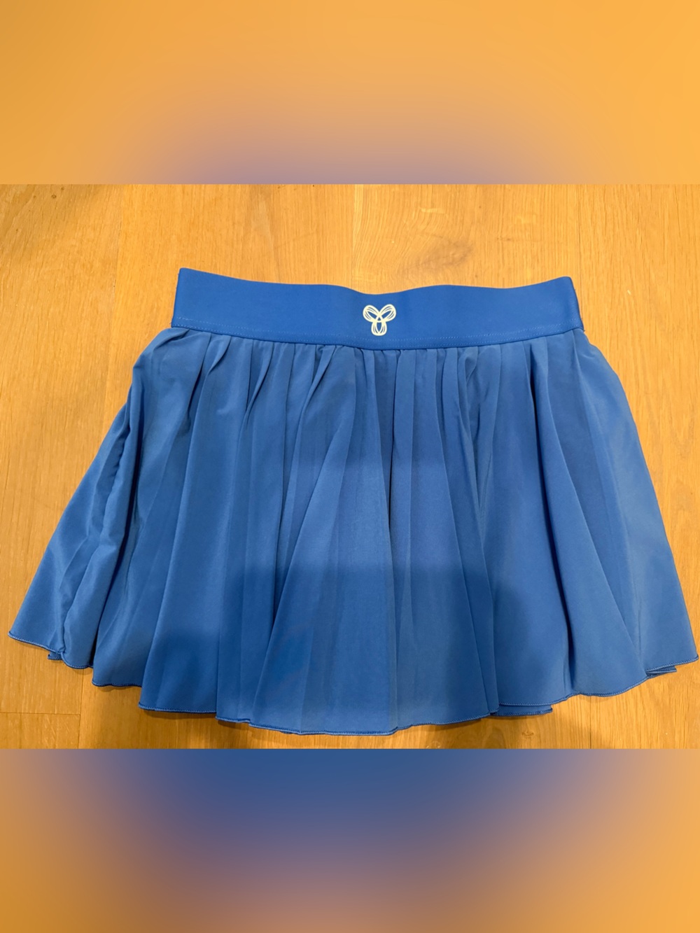 Aritzia Pleated Tennis Skirt in Royal Blue
